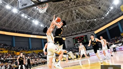 2026亚冠二级联赛首战：上海申花对决淡滨尼流浪者，9月17日20_15直播指南